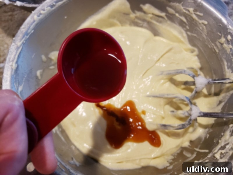 Citrus Bloom Cake: My Summer Dream 10 Adding vanilla extract to cake batter