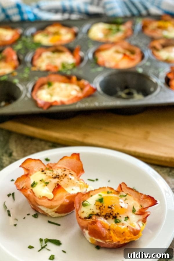Effortless Ham & Egg Breakfast Cups 2 Two golden-brown ham and egg cups resting in a muffin tin, showcasing their perfect shape and inviting texture, ready for a delicious breakfast.