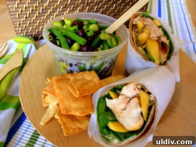 Savory Grilled Chicken Wraps 2 A grilled hoisin chicken wrap with bean salad, ready for a picnic.