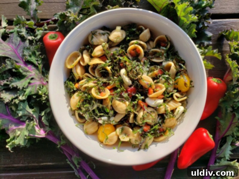 Orecchiette The Kale Pasta Salad You Will Obsess Over 2 Fresh Orecchiette and Kale Salad Ready to Be Dressed