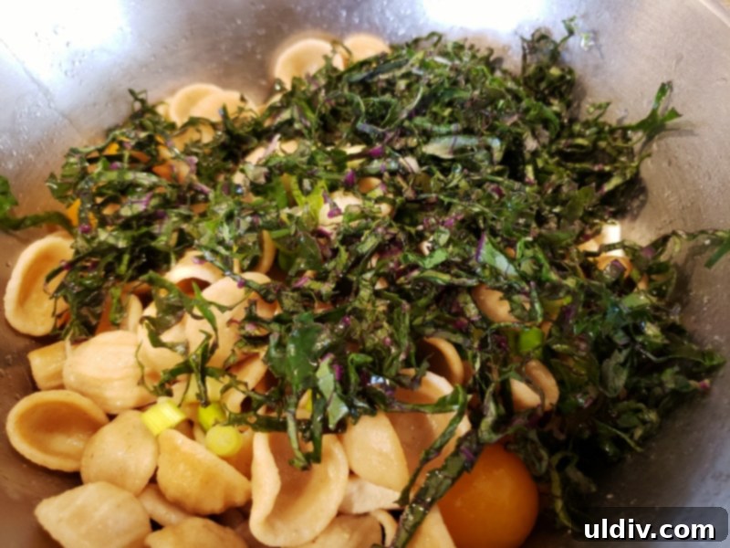 Orecchiette The Kale Pasta Salad You Will Obsess Over 4 Orecchiette Salad Ingredients in a Bowl, Ready for Mixing