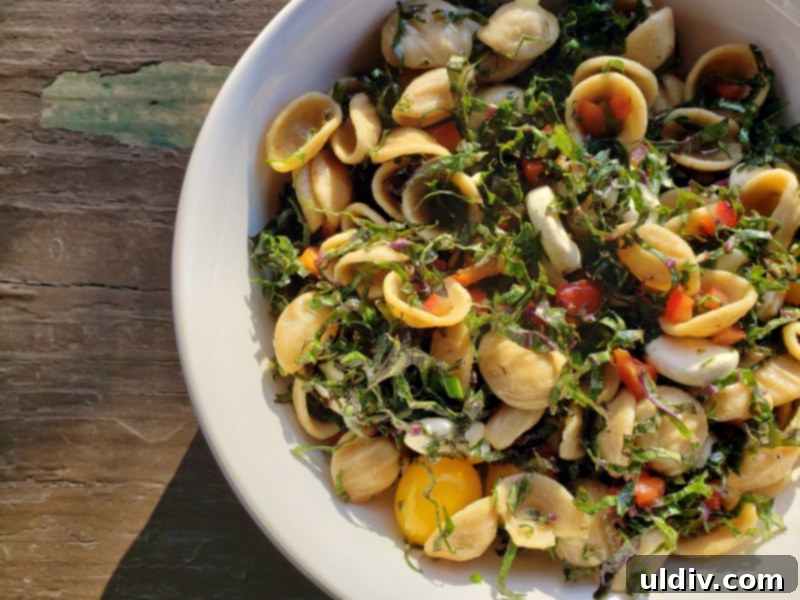 Orecchiette The Kale Pasta Salad You Will Obsess Over 7 Well-Combined Orecchiette and Kale Salad