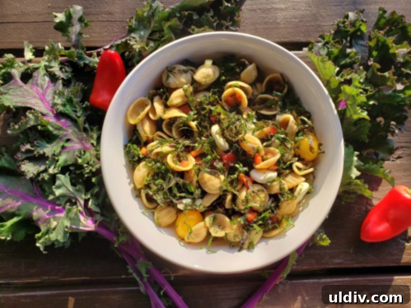 Orecchiette The Kale Pasta Salad You Will Obsess Over 8 Chilled Orecchiette and Kale Salad Served with Crusty Bread
