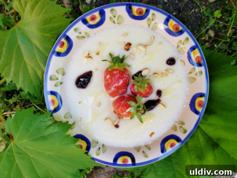 Semolina Pudding A Sweet Childhood Memory 5 Two bowls of semolina pudding, one topped with berry preserve and the other with fresh fruit, ready to be enjoyed.