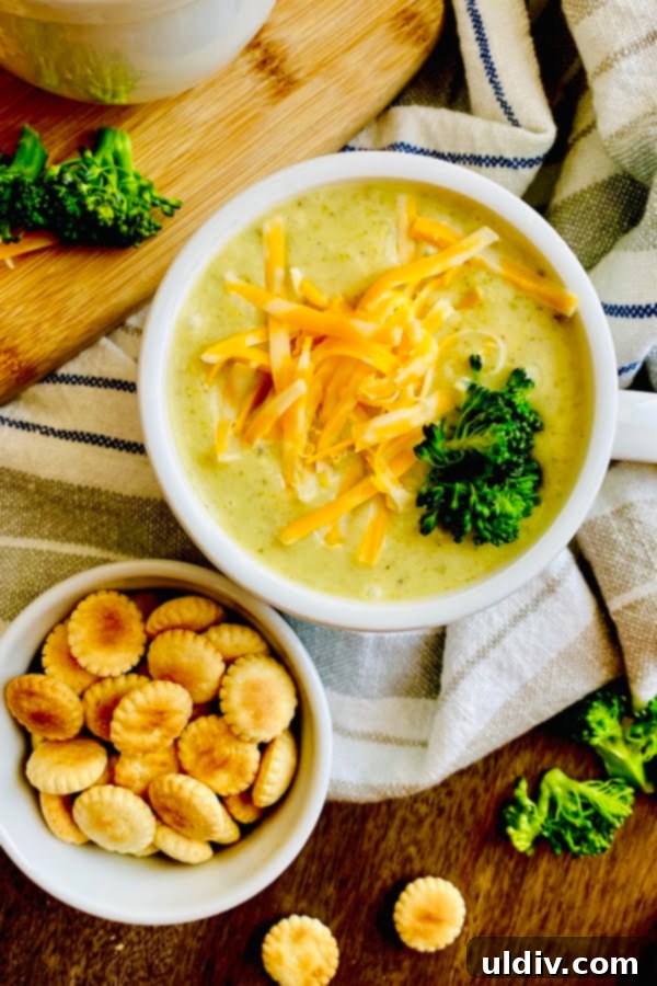 Fast & Flavorful Vegetarian Broccoli Cheddar Soup 2 A steaming cup of creamy broccoli and cheese soup, garnished with oyster crackers, perfect for a cozy meal.