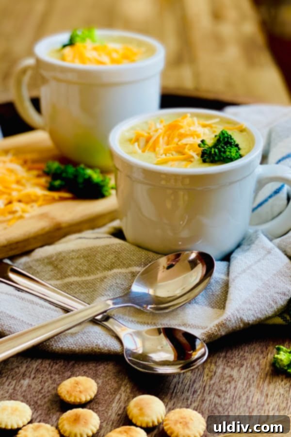 30-Minute Vegetarian Broccoli Cheddar Soup 3 fresh creamy vegetable soup served in mugs