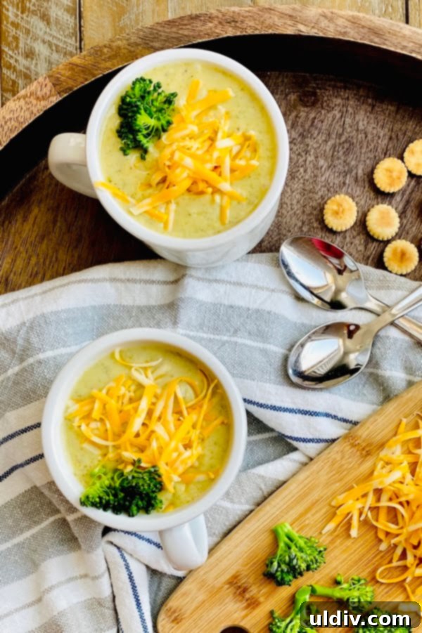 30-Minute Vegetarian Broccoli Cheddar Soup 4 2 mugs of broccoli and cheese soup