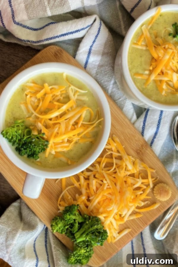 30-Minute Vegetarian Broccoli Cheddar Soup 6 broccoli and cheese soup with extra cheese