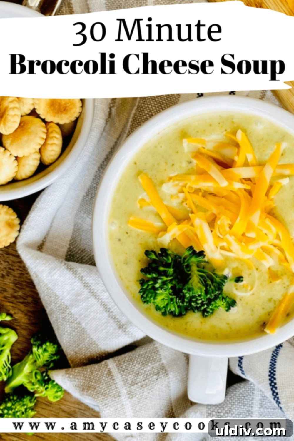30-Minute Vegetarian Broccoli Cheddar Soup 7 a mug of broccoli cheese soup.