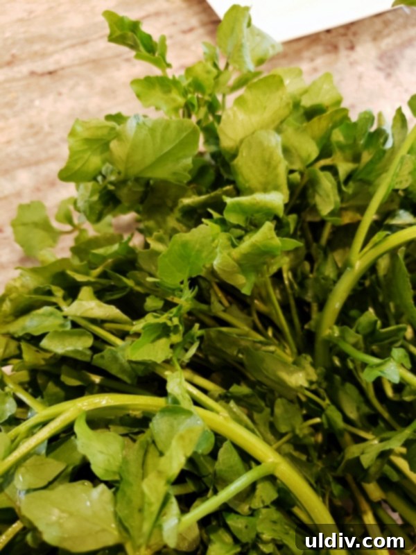 Sitka Salmon Shares June 2020: Remembering Childhood, Relishing Sablefish 12 Fresh watercress, mini tomatoes, jicama, and cremini mushrooms for the salad.