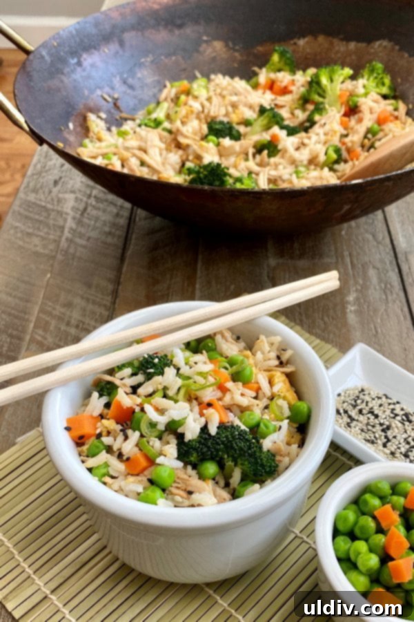 Tropical Coconut Salmon Bake 8 bowl of fried rice with chicken with chopsticks and a wok full of fried rice