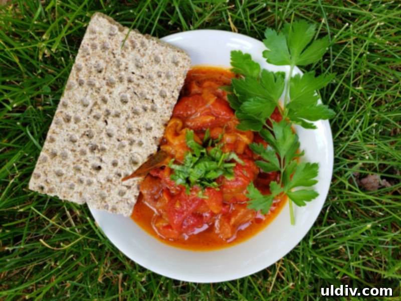 Vegan Grilled Pepper Stew My Undying Plant Based Passion 2 Delicious Vegan Grilled Pepper Stew in a bowl