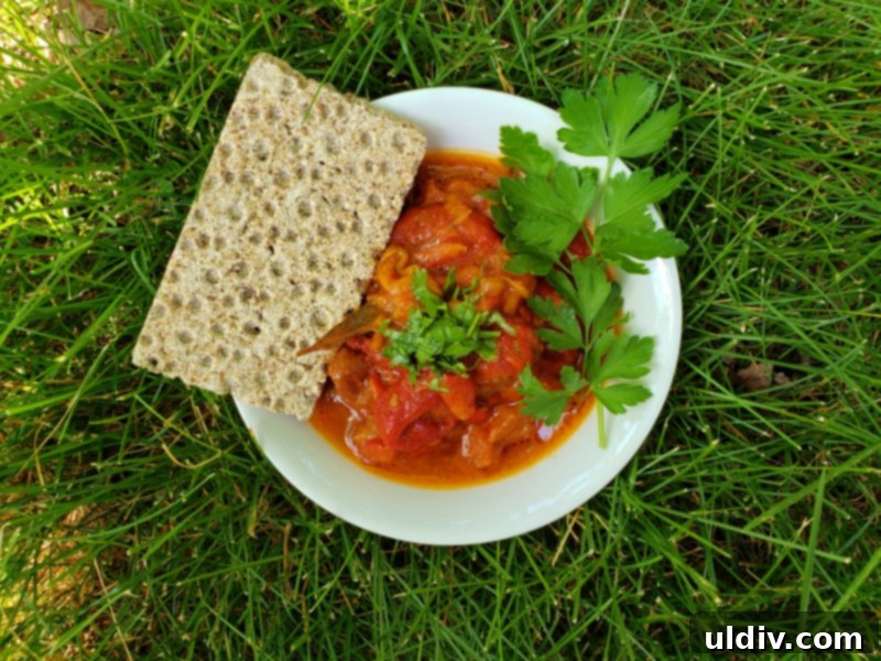 Vegan Grilled Pepper Stew My Undying Plant Based Passion 3 Vegan Grilled Pepper Stew as a light summer meal