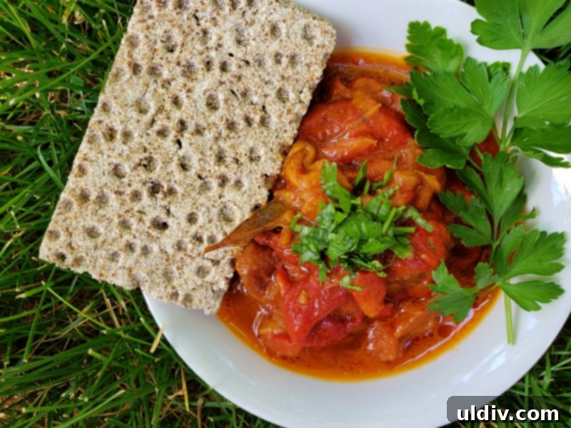 Vegan Grilled Pepper Stew My Undying Plant Based Passion 4 Vegan Grilled Pepper Stew served as an elegant appetizer with crackers