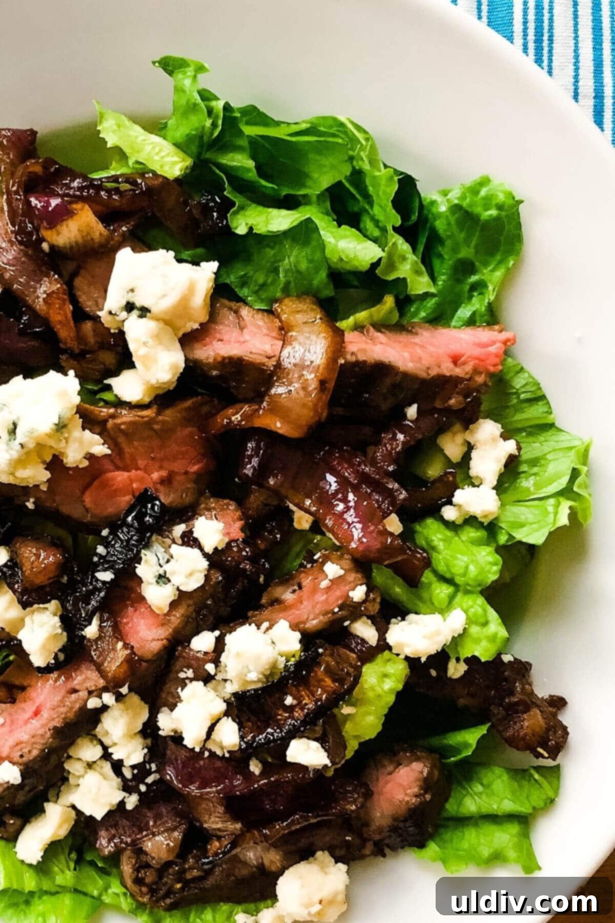 Blue Cheese Steak Salad with Balsamic Herbs 3 A close-up view of a steak salad in a bowl, featuring tender sliced steak, roasted red onions, and blue cheese over fresh lettuce.
