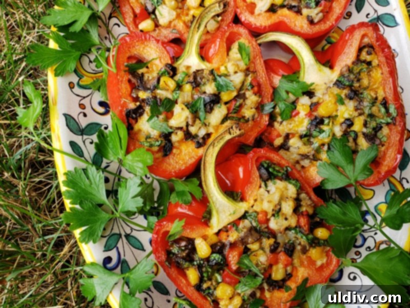 Cauliflower Mushroom Stuffed Peppers: Our Plant-Based Evolution 12 Another view of the wholesome and delicious stuffed bell peppers