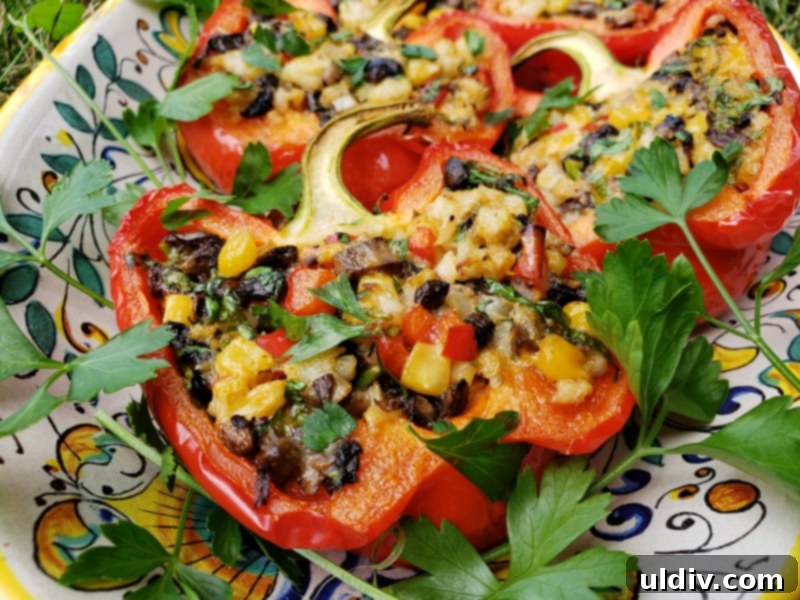 Cauliflower Mushroom Stuffed Peppers: Our Plant-Based Evolution 16 Final plated image of the stuffed bell peppers