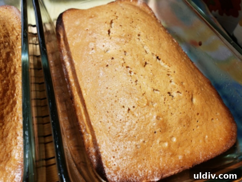 Summer's End: Last Chances for Great Reads and Delicious Treats 16 Freshly baked pound cake made with Chocolate PBfit