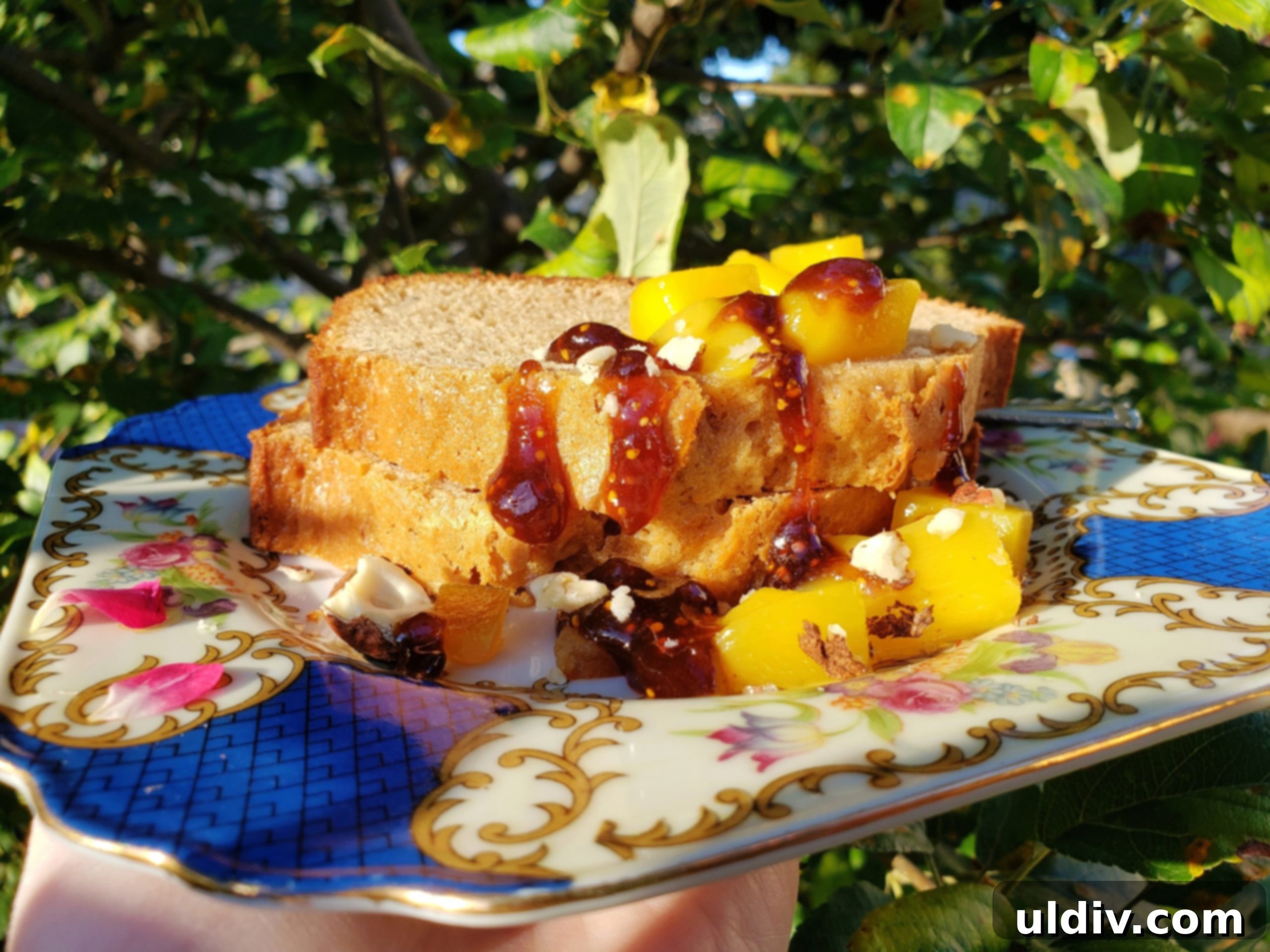 Summer's End: Last Chances for Great Reads and Delicious Treats 17 Sliced pound cake with mango, fruit preserve, and hazelnuts on a plate