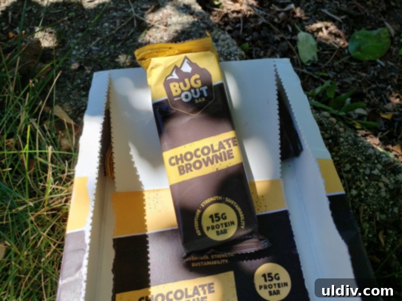 Summer's End: Last Chances for Great Reads and Delicious Treats 20 Bug Out protein bars packaging, highlighting cricket flour