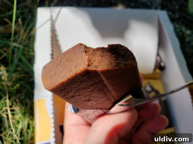 Summer's End: Last Chances for Great Reads and Delicious Treats 21 Two Bug Out protein bars displayed on a rustic surface