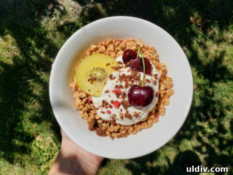 Summer's End: Last Chances for Great Reads and Delicious Treats 22 Bug Out protein bar crumbled over a vibrant breakfast bowl