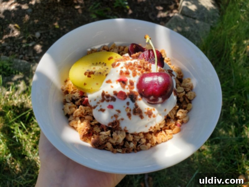 Summer's End: Last Chances for Great Reads and Delicious Treats 23 Close-up of a textured Bug Out protein bar