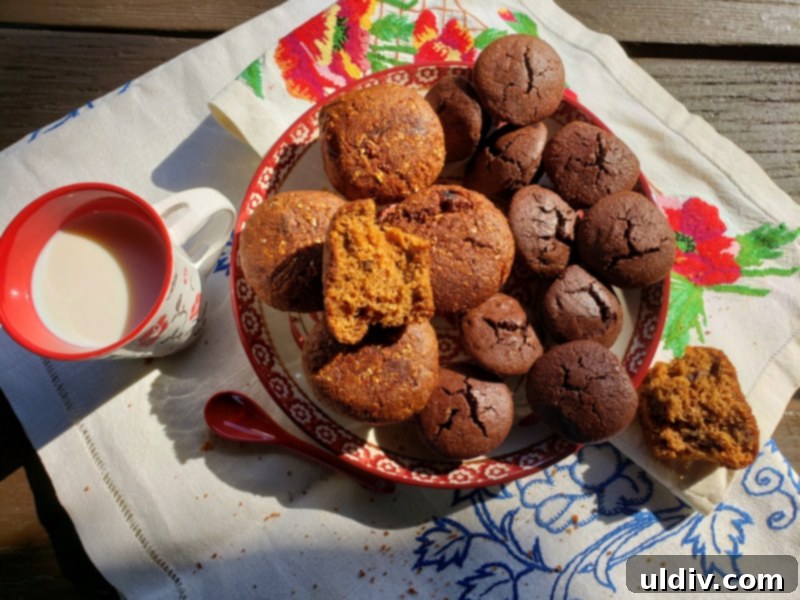 Summer's End: Last Chances for Great Reads and Delicious Treats 26 Close-up of a Flax4Life carrot raisin muffin with visible fruit