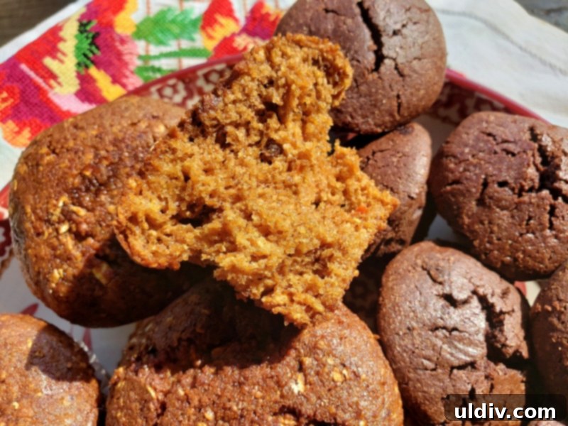 Summer's End: Last Chances for Great Reads and Delicious Treats 27 Close-up of a rich Flax4Life cappuccino brownie