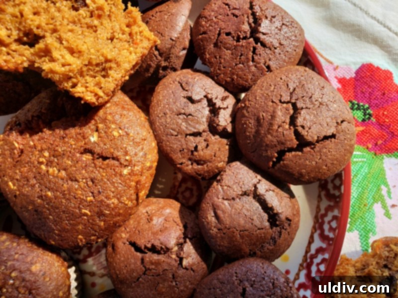 Summer's End: Last Chances for Great Reads and Delicious Treats 28 Flax4Life muffins and brownies arranged attractively on a plate