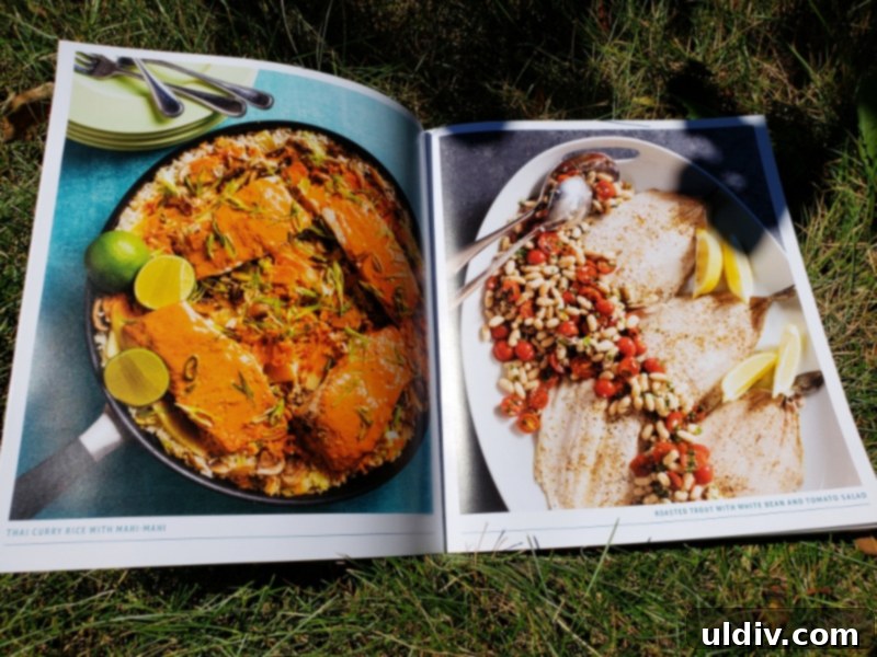 Summer's End: Last Chances for Great Reads and Delicious Treats 4 Open page of Foolproof Fish cookbook displaying fish dishes