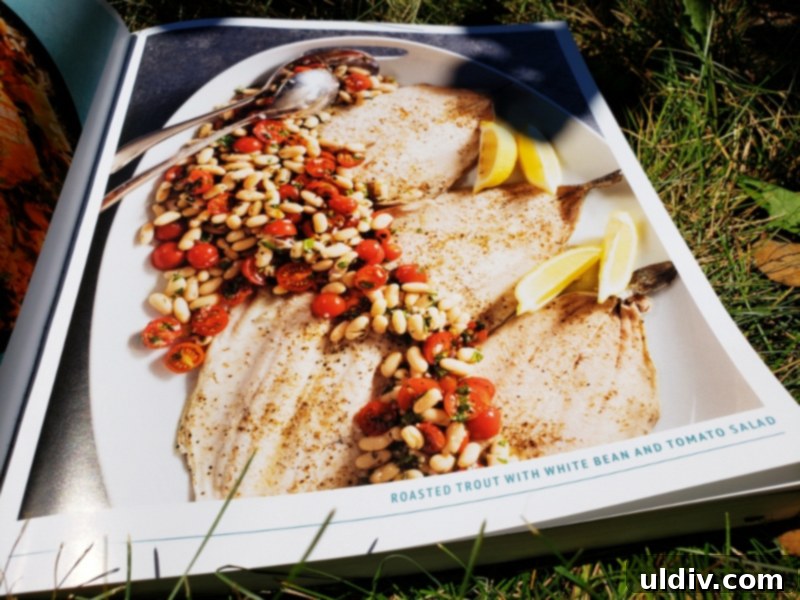 Summer's End: Last Chances for Great Reads and Delicious Treats 5 Cookbook open to a detailed recipe page