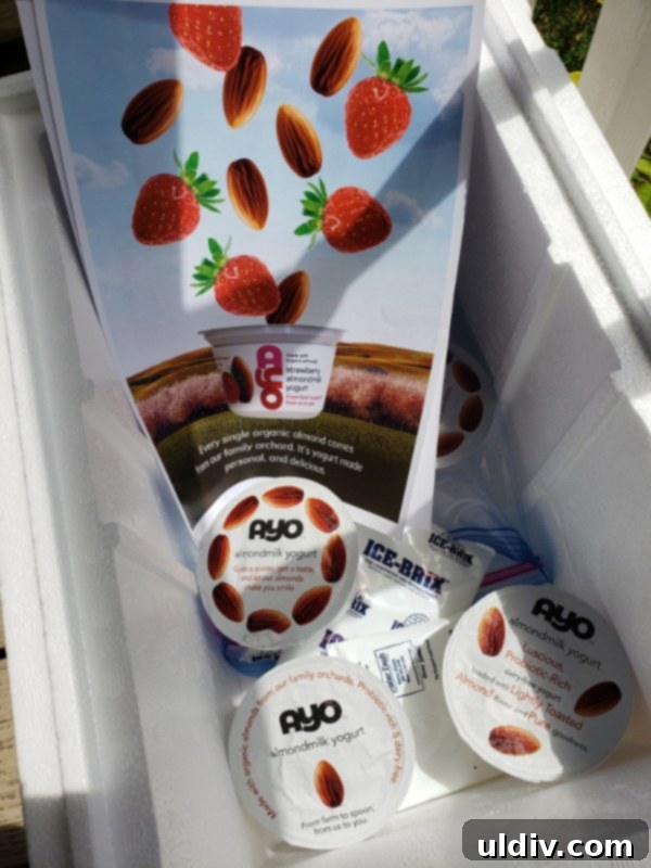 Summer's End: Last Chances for Great Reads and Delicious Treats 6 AYO almond yogurt containers in assorted flavors