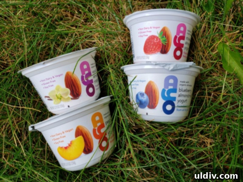 Summer's End: Last Chances for Great Reads and Delicious Treats 7 Fresh fruit and AYO almond yogurt ready for serving