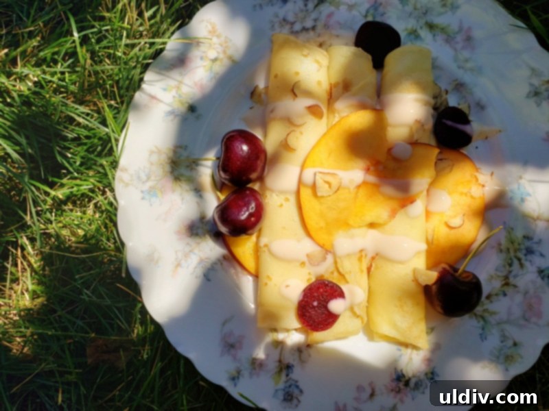 Summer's End: Last Chances for Great Reads and Delicious Treats 9 Close-up of crepes filled with AYO peach yogurt