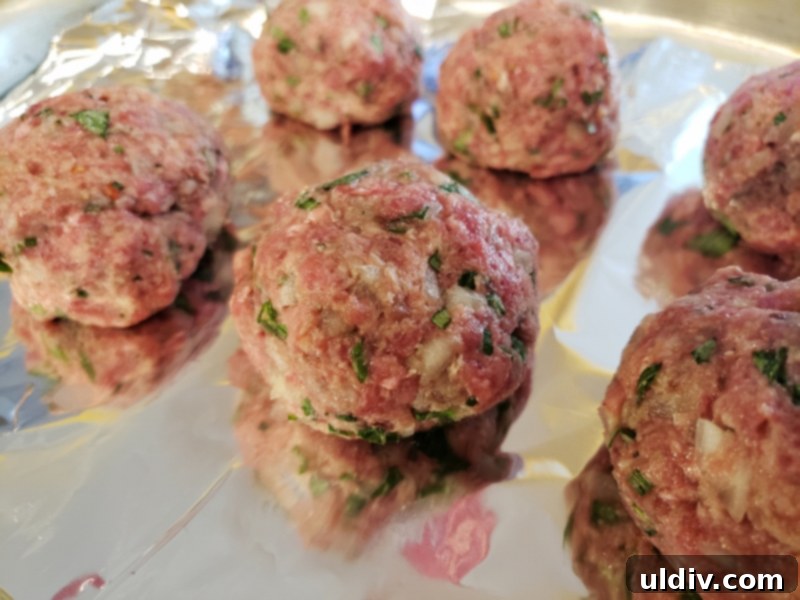 Truffle Shuffle's Fall Feast: A Virtual Celebration of Pasta, Meatballs, and Truffle Indulgence 15 Beautifully formed meatballs, ready to be cooked.