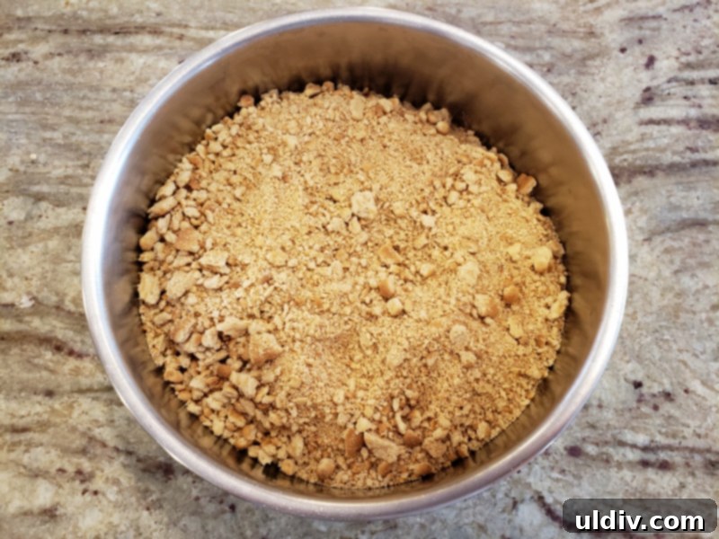 Whispers of Narnia: Turkish Delight Truffles Enhanced with Nielsen Massey Vanilla 7 Adding dried cranberries to crushed biscuits