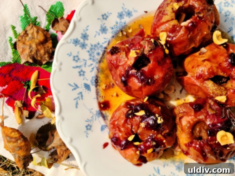 Fall 2020 Comfort: Baked Apples and the Quest for Normal 12 Delicious and Healthy Fall Dessert