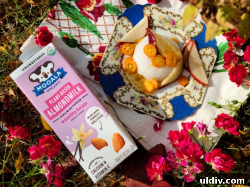 Fall 2020 Comfort: Baked Apples and the Quest for Normal 16 Delicious Plant-Based Dessert with Mooala