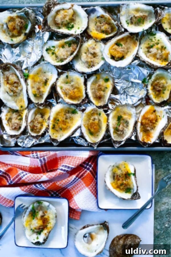 No-Fuss Baked Oysters 2 Baked oysters with cheddar and parmesan and creole seasoning, garnished with fresh parsley.