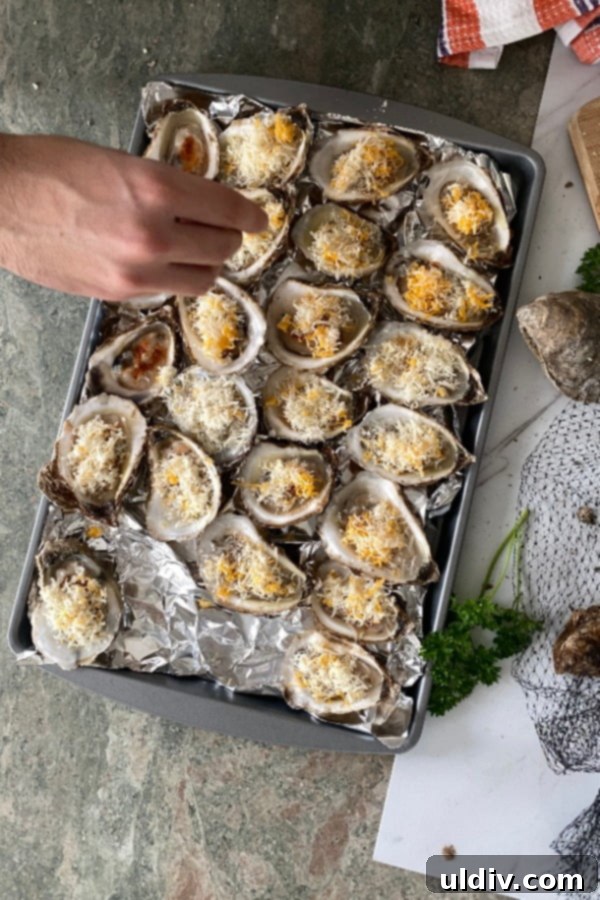 Effortlessly Delicious Baked Oysters 5 Sprinkling cheese on bivalves