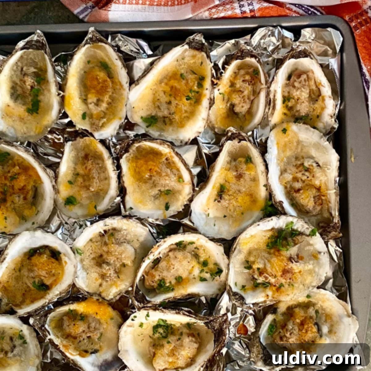 No-Fuss Baked Oysters 8 baked oysters with cheese
