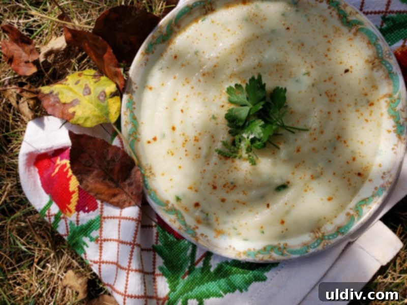 Çorbalarınızın Gizli Kahramanı: Lahana Turpu! 4 Kohlrabi soup with harissa seasoning, still a pale hue