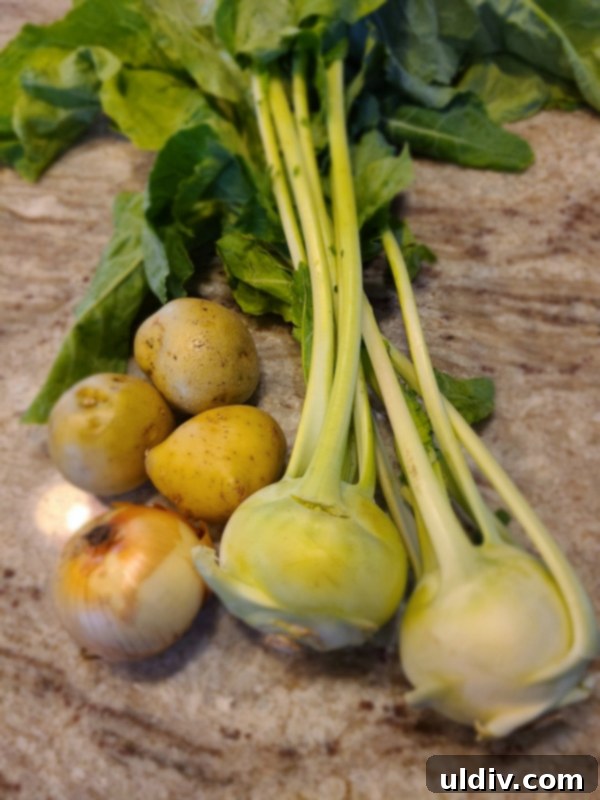 Çorbalarınızın Gizli Kahramanı: Lahana Turpu! 6 Fresh, small kohlrabi bulbs, ideal for soup