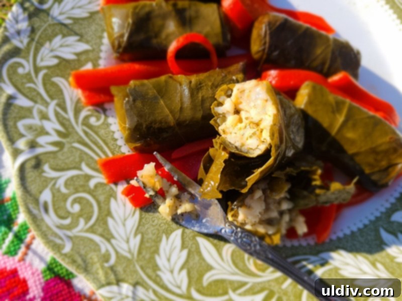 Divina Specialty Review Mediterranean Taste Perfected 13 img 13389 12