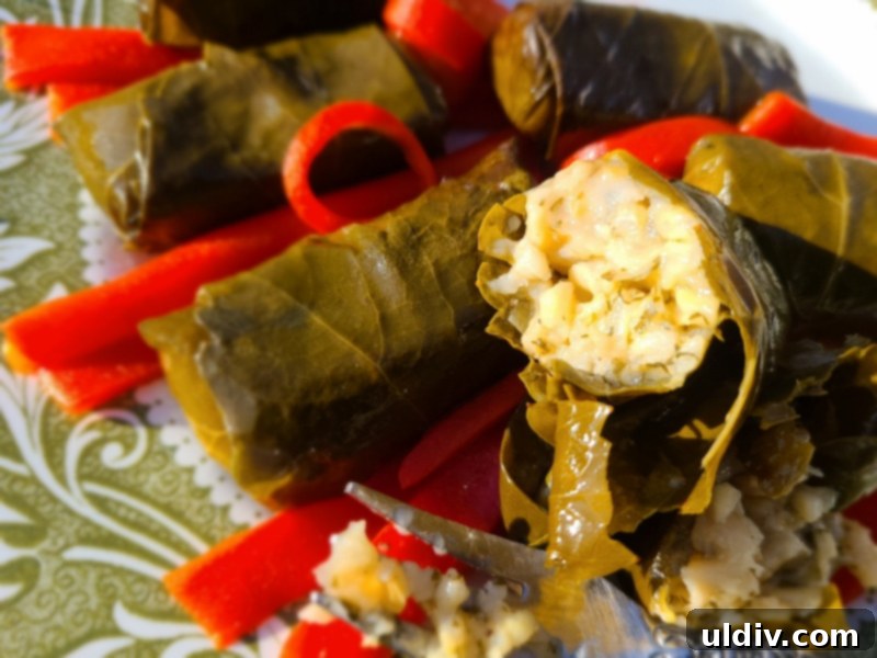 Divina Specialty Review Mediterranean Taste Perfected 15 img 13389 14