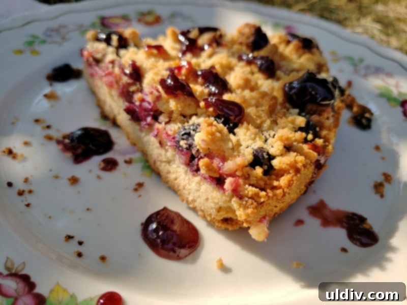 Divina Specialty Review Mediterranean Taste Perfected 19 img 13389 18