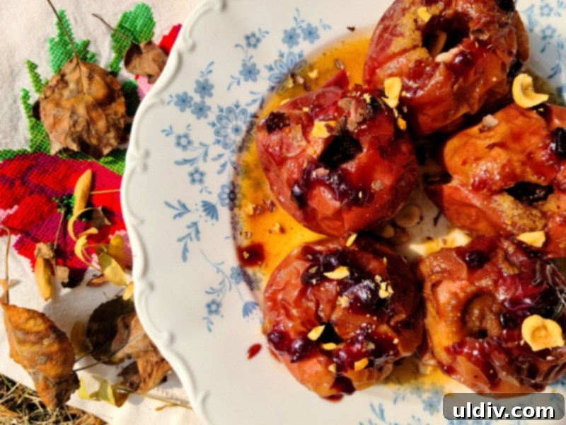 Divina Specialty Review Mediterranean Taste Perfected 23 img 13389 22