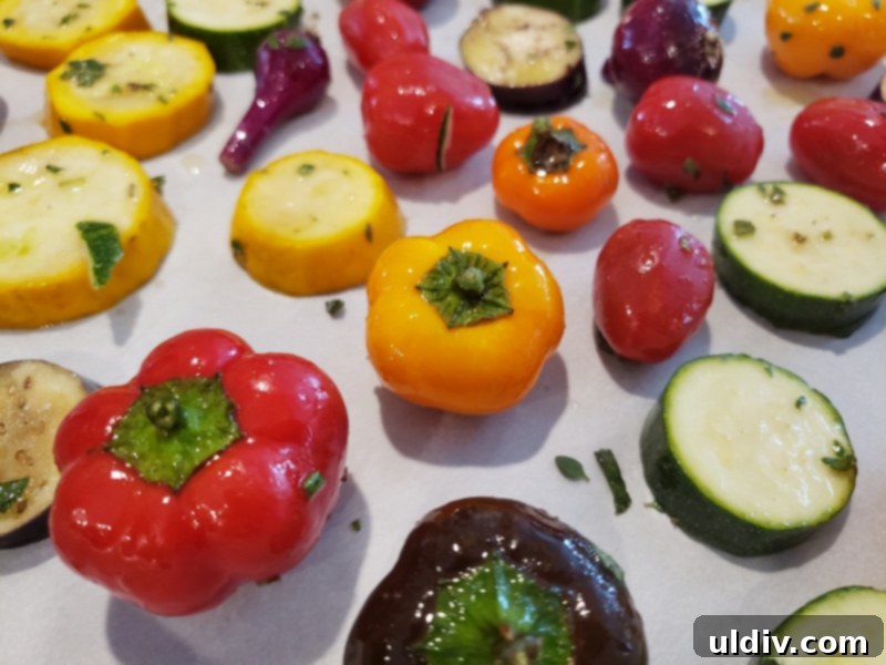 Divina Specialty Review Mediterranean Taste Perfected 8 img 13389 7