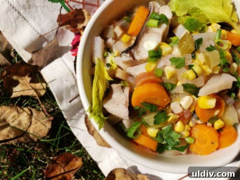 Autumn's Health Elixir: Dive Into Delicious Fish Soup 11 Fish soup garnished with fresh celery leaves for added flavor and visual appeal.